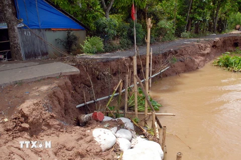 Nứt đất ảnh hưởng đời sống của hàng chục hộ dân bên bờ sông Đồng Nai