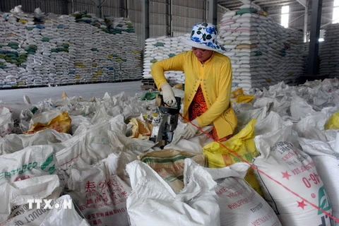 Đồng bằng sông Cửu Long đã xuất khẩu trên 4 triệu tấn gạo