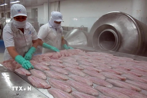 Nhờ cá tra, Việt Nam đứng đầu về xuất khẩu cá phile sang Brazil