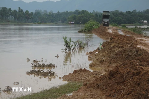 Phú Thọ: Sạt lở bờ sông Thao diễn ra ngày một nghiêm trọng