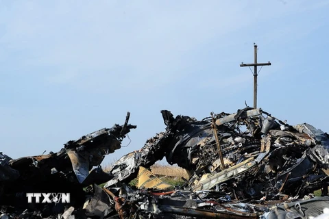 Hà Lan tìm thấy thêm thi thể nạn nhân của vụ máy bay MH17