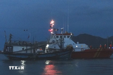 Cứu hộ tàu cá của ngư dân Bình Định từ Trường Sa vào bờ an toàn