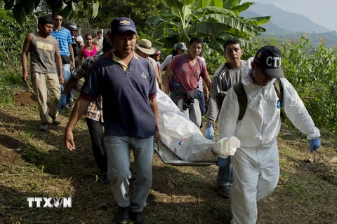 Colombia: FARC bắt đầu thực hiện ngừng bắn đơn phương