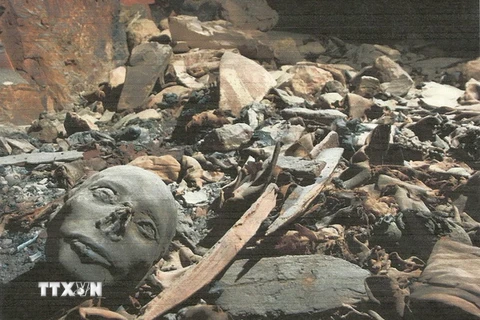 Ai Cập bác tin phát hiện nghĩa địa chứa "cả triệu xác ướp"