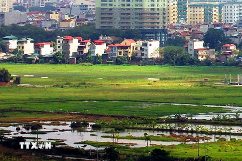 Đất ở tại Nghệ An có mức giá tối đa 51 triệu đồng mỗi m2