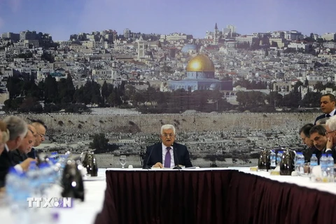 Mỹ chỉ trích quyết định gia nhập công ước quốc tế của Palestine