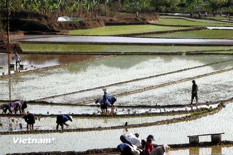 Sơn La: Chủ động trữ và quản lý khai thác nguồn nước thủy lợi 