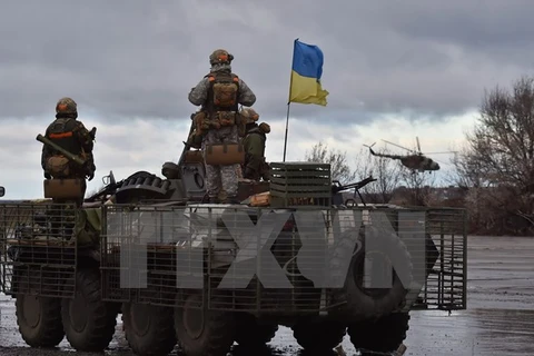 Mỹ tố Nga và phe ly khai ở Ukraine không tuân thủ lệnh ngừng bắn 