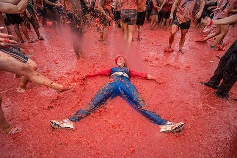 Australia: Sôi động trận chiến cà chua Tomato Battle tại Melbourne