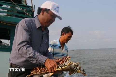 Kiên Giang: Thả hơn 530.000 con giống tái tạo nguồn lợi thủy sản 