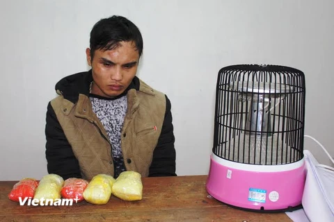 Khởi tố vụ án vận chuyển gần 1kg ma túy từ Trung Quốc về Việt Nam