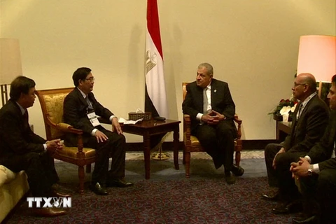Ai Cập mong muốn thúc đẩy quan hệ với Việt Nam trên nhiều lĩnh vực