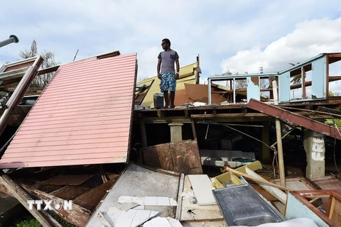 Không có thông tin người Việt thương vong sau siêu bão ở Vanuatu
