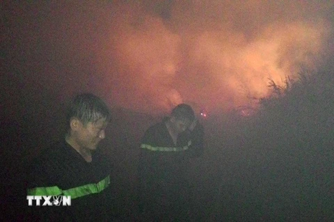 Kiên Giang: Nỗ lực khống chế cháy rừng tại huyện U Minh Thượng