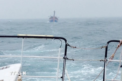 Đưa 35 ngư dân gặp nạn ở vùng biển Trường Sa vào bờ an toàn