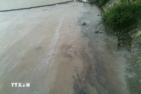 Quảng Trị thu gom, làm sạch bờ biển bị ảnh hưởng dầu tràn