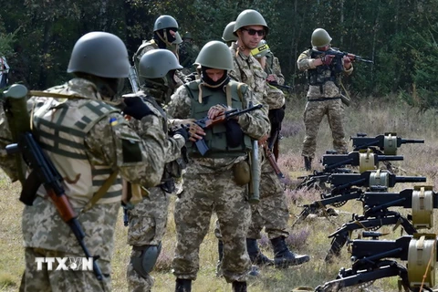 Ukraine: Lính dù ngừng bao vây căn cứ của Pravyi Sector