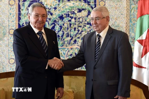 Cuba hoàn toàn ủng hộ chính sách đối ngoại của Algeria