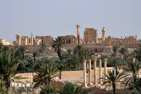 Toàn cảnh thành cổ Palmyra. (Nguồn: AFP/TTXVN)