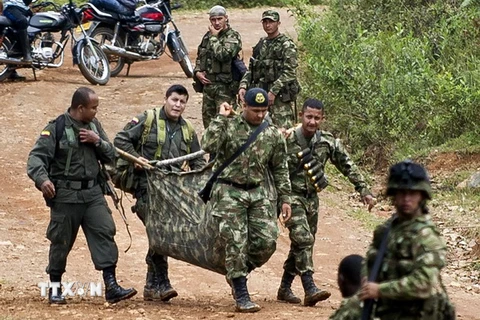 Colombia: FARC đình chỉ lệnh ngừng bắn sau khi bị tấn công