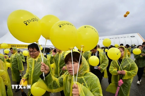 Hàn Quốc mở thầu trục vớt phà Sewol bị chìm từ tháng 4/2014