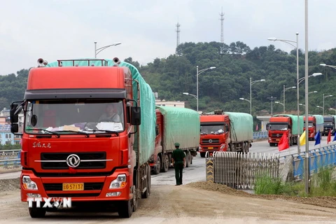 Phương tiện vận chuyển hàng hóa xuất nhập khẩu qua cửa khẩu quốc tế đường bộ số II - Kim Thành tại Lào Cai. (Ảnh: Doãn Tấn/TTXVN)
