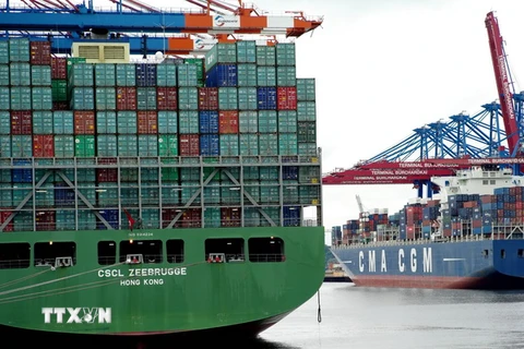 Tàu chở container bỏ neo tại cảng ở Hamburg, thành phố phía bắc Đức. (Nguồn: AFP/TTXVN)