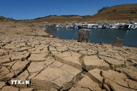Hồ chứa nước New Melones ở California, Mỹ bị cạn khô do hạn hán kéo dài. (Nguồn: AFP/TTXVN)