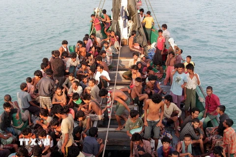 Người di cư được đưa vào bờ biển gần thành phố Geulumpang, tỉnh Aceh, Indonesia sau khi được cứu. (Nguồn: AFP/TTXVN)