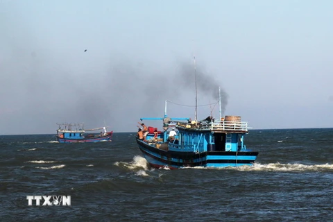 Tàu cá Việt Nam ra khơi đánh bắt cá. (Ảnh: Thế Lập/TTXVN)