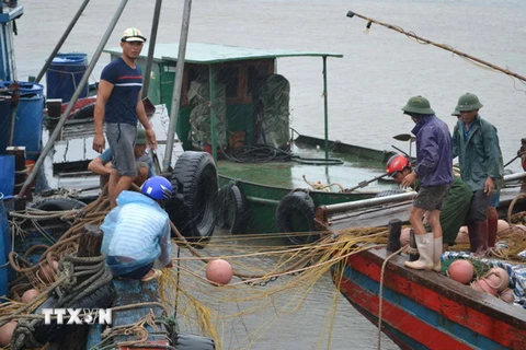 Ngư dân đang khẩn trương neo đậu tàu thuyền tại xã Thái Thượng, huyện Thái Thụy, Thái Bình để tránh trú bão số 1. (Ảnh: Thu Hoài/TTXVN)