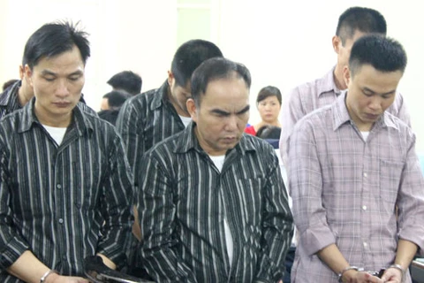 Phạt tù 6 đối tượng hai lần cưa trộm cây sưa ở Hà Nội