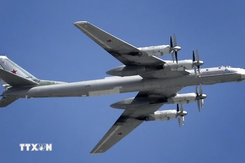 Một máy bay Tu-95. (Nguồn: AFP/TTXVN)