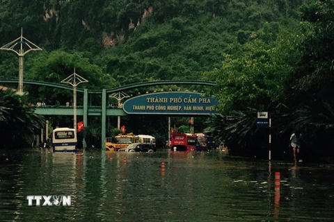 Mưa lớn gây lụt một số tuyến đường tại thành phố Cẩm Phả. (Ảnh: Văn Đức/TTXVN)
