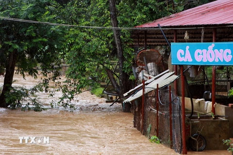 Lũ ngập tràn bờ tại phường Chiềng An, xã Chiềng Xôm, thành phố Sơn La. (Ảnh chụp lúc 9g17 phút sáng 2/8). (Ảnh: Điêu Chính Tới/TTXVN)