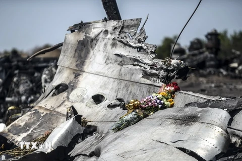 Xác máy bay MH17 gần làng Grabove, vùng Donetsk, miền Đông Ukraine ngày 26/7/2014. (Nguồn: AFP/TTXVN)
