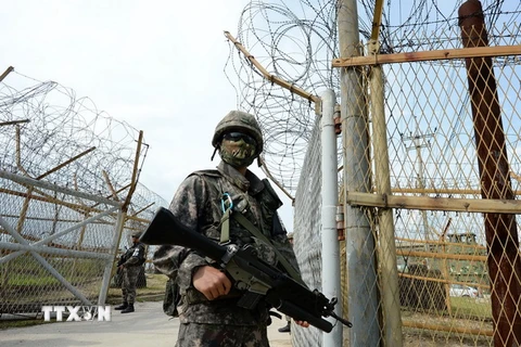 Binh sỹ Hàn Quốc gác gần hiện trường vụ nổ mìn tại khu phi quân sự giữa hai miền Triều Tiên. (Nguồn: AFP/TTXVN)