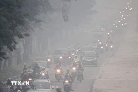Khói mù dày đặc tại Pekanbaru, Indonesia. (Nguồn: AFP/TTXVN)
