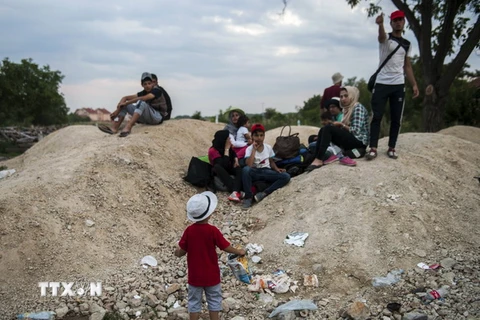 Người di cư tại khu vực Presevo, Serbia ngày 25/8. (Nguồn: AFP/TTXVN)