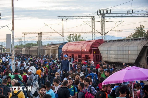 Người di cư tại nhà ga tàu hỏa ở thị trấn Gevgelija, Macedonia ngày 22/8. (Nguồn: AFP/TTXVN)