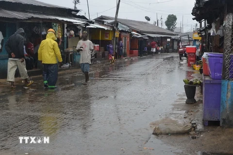 Một đường phố ở Monrovia. (Nguồn: AFP/TTXVN)