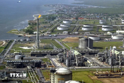 Cơ sở lọc dầu và khí đốt của Tập đoàn Shell ở đảo Bonny thuộc miền Nam Nigeria ngày 18/5/2005. (Nguồn: AFP/TTXVN)