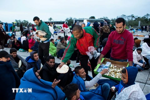 Nhân viên tình nguyện phân phát thực phẩm cho những người di cư đợi xe buýt để vào sâu trong lãnh thổ Áo tại Nickelsdorf khu vực biên giới Áo và Hungary ngày 5/9. (Nguồn: AFP/TTXVN)
