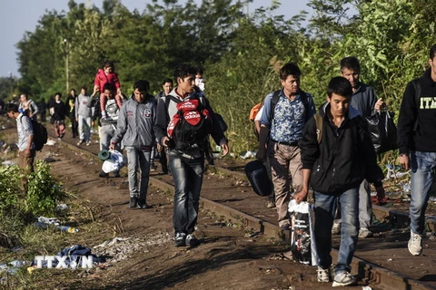 Người di cư tại khu vực biên giới Hungary-Serbia, gần thị trấn Horgos của Serbia ngày 14/9. (Nguồn: AFP/TTXVN)