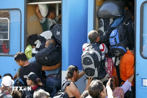 Người di cư chen lên tàu tại nhà ga ở Beli Manastir, Croatia ngày 18/9. (Nguồn: Reuters/TTXVN)