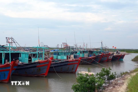 Tàu thuyền của ngư dân ở Móng Cái đã về nơi trú ẩn an toàn. (Ảnh: Văn Đức/TTXVN)