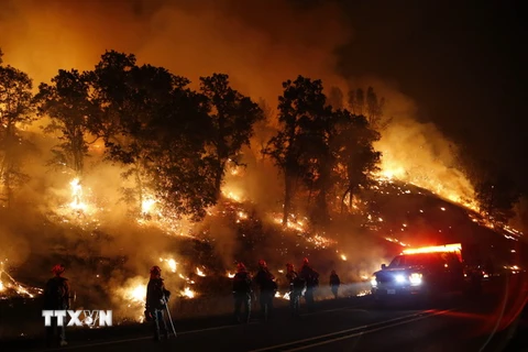 Lực lượng cứu hỏa nỗ lực khống chế các đám cháy rừng ở Valley Fire, California ngày 13/9. (Nguồn: AFP/TTXVN)