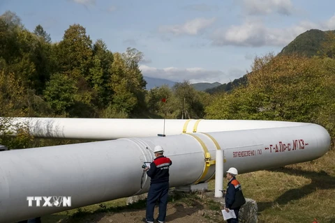 Công nhân kiểm tra đường ống dẫn khí đốt tại trạm cung cấp khí gần làng Volovets, miền tây Ukraine ngày 7/10. (Nguồn: Reuters/TTXVN)