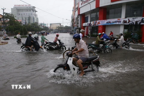 Cảnh ngập trên đường Trần Phú, thành phố Bạc Liêu. (Ảnh: Duy Khương/TTXVN)