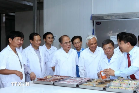 Chủ tịch Quốc hội Nguyễn Sinh Hùng thăm Nhà máy chế biến thực phẩm Mitraco, tại thị xã Kỳ Anh. (Ảnh: Nhan Sáng/TTXVN)